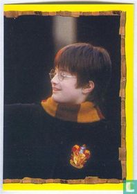 Harry Potter en de Steen der Wijzen
