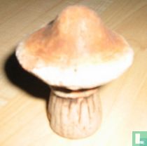 Versteende paddestoel