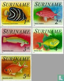 Tropical Fish 