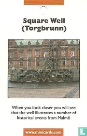 Torgbrun - Square Well