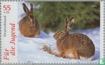 Native animals