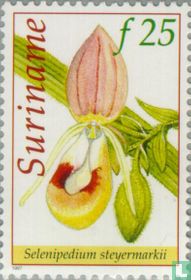 Orchidées