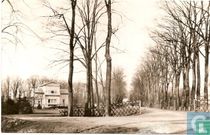 Groenedijk 