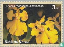 Fleurs