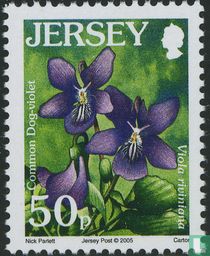 Wildflowers for sale