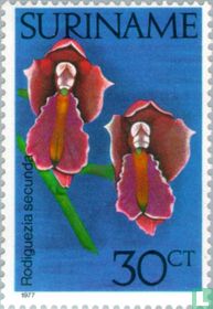 Orchidées acheter