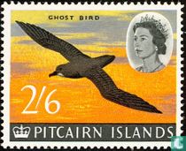 Navires et oiseaux