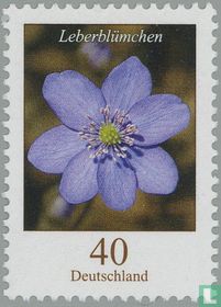 Fleurs