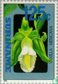 Orchideeën kopen
