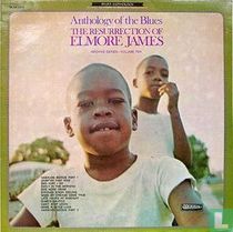 The resurrection of Elmore James