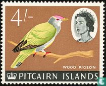 Navires et oiseaux
