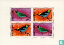 oiseaux tropicaux