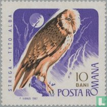 Oiseaux de proie