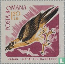 Oiseaux de proie