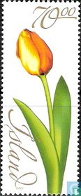 Fleurs