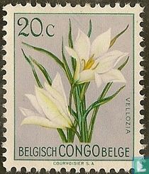 Blumen