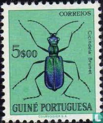 Beetle
