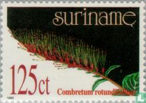 Medicinale planten kopen
