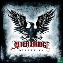 Blackbird
