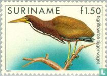Marmorreiher