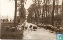 Straatweg, richting Reeweg-Zuid