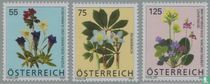 Blumen