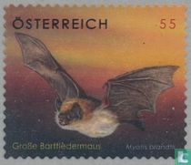 Tierschutz kaufen