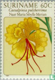 Bloemen schilderijen kopen