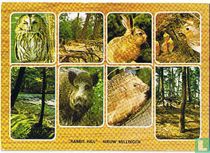 Rabbit Hill - Nieuw Millingen