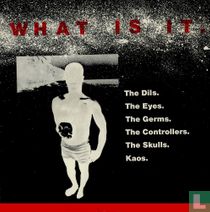 What is it