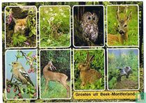 Groeten uit Beek-Montferland