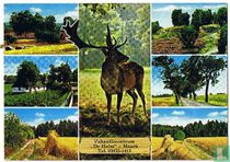 Vakantiecentrum De Halm - Maarn