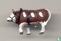 Stier