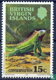 Leguan