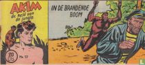 In de brandende boom