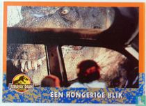 Een hongerige blik