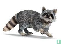 Raccoon
