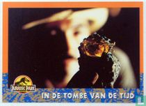 In de tombe van de tijd