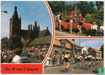 De 8 van Chaam (0391)
