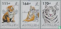 Année du Tigre