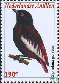 Oiseaux