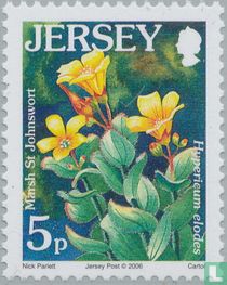 Wildflowers for sale