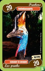 helmkasuaris