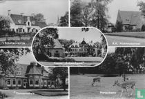 Raalte