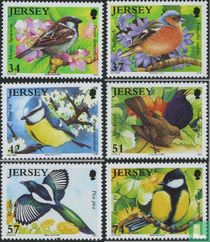 Oiseaux - oiseaux du jardin acheter