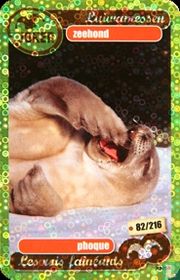 zeehond