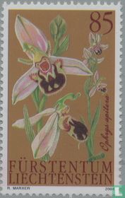 Orchids for sale