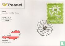 Broderie acheter