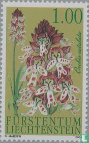 Orchideen