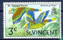 Amazone de Saint-Vincent